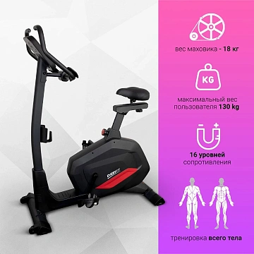картинка Велотренажер Everyfit BX7P, вертикальный магазин Одежда+ являющийся официальным дистрибьютором в России 