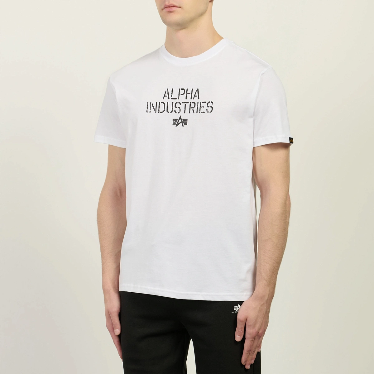 картинка Мужская футболка Alpha Industries Target Backprint, 268511-09 от магазина Одежда+