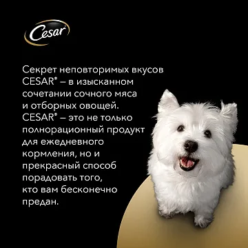 картинка Cesar для взрослых собак (Тушеная телятина с овощами) магазин Одежда+ являющийся официальным дистрибьютором в России 