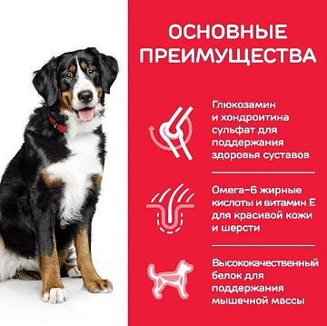 картинка Корм Hill's Science Plan для собак крупных пород для поддержания здоровья суставов и мышечной массы (ягненок, рис) магазин Одежда+ являющийся официальным дистрибьютором в России 