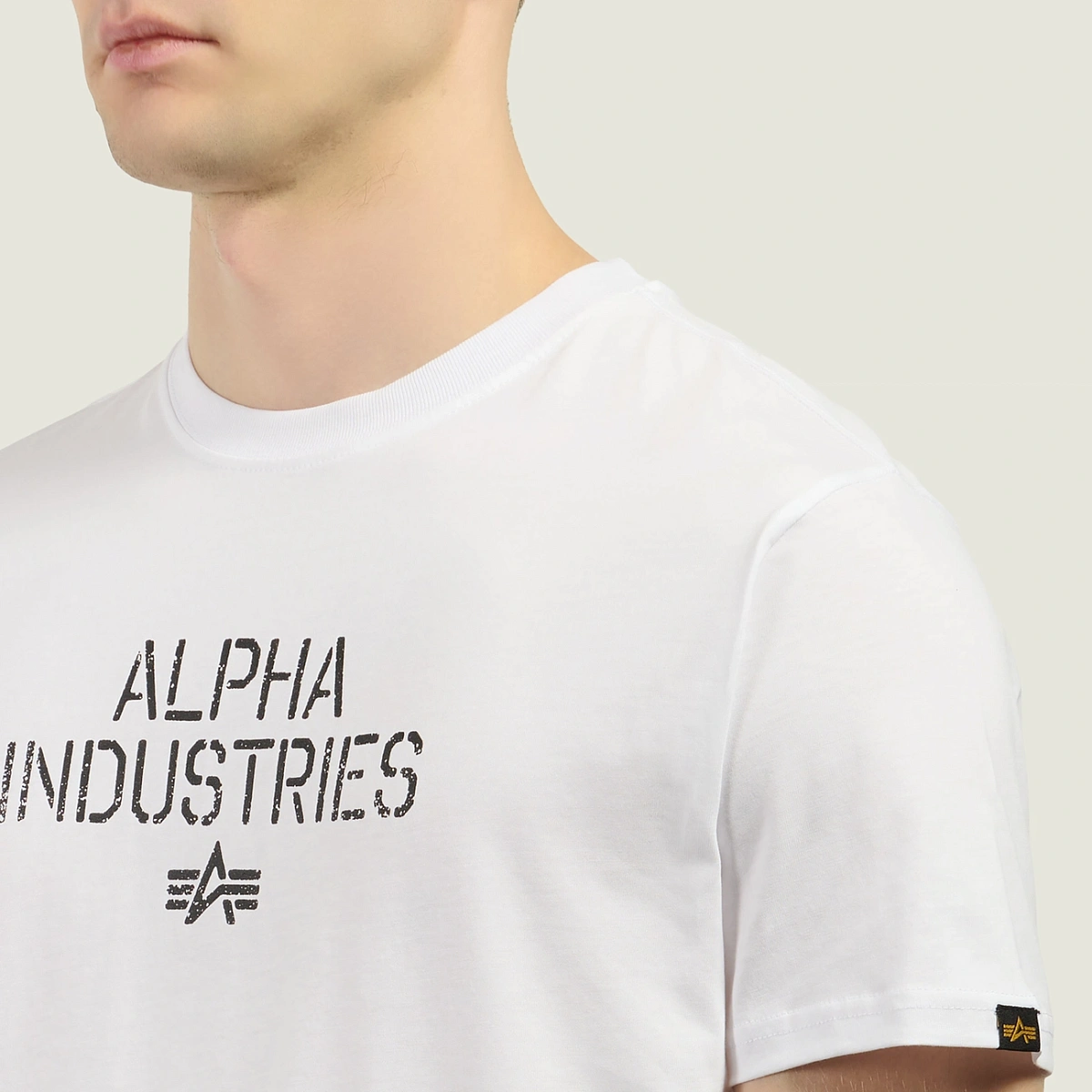картинка Мужская футболка Alpha Industries Target Backprint, 268511-09 от магазина Одежда+