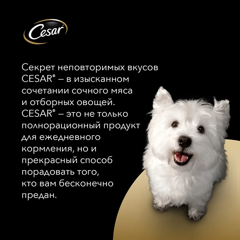 картинка Cesar для взрослых собак (Тушеная телятина с овощами) от магазина Одежда+